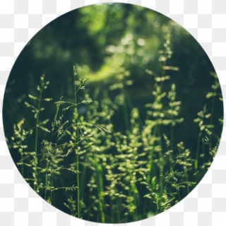 Pasto Sticker - Circle, HD Png Download