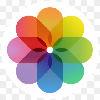 Ios 7 Contacts App Icon - Ios 11 Gallery Icon, HD Png Download