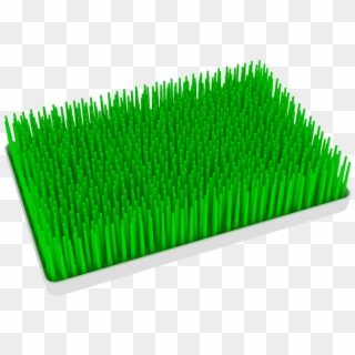 Grass, HD Png Download