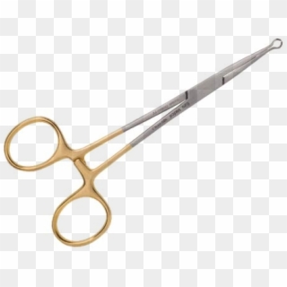 No Scalpel Vasectomy - Surgical Instrument, HD Png Download