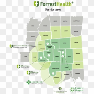 Forrest Health , Png Download - Forrest Health, Transparent Png