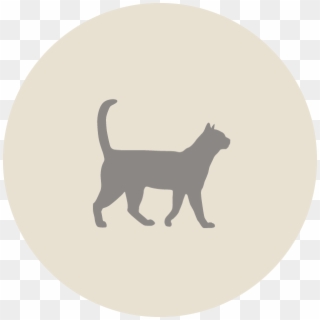 Knox Cat Icon, HD Png Download