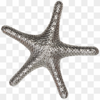 130037 Silver Starfish, HD Png Download
