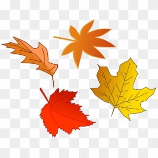 Picture Royalty Free Stock Collection Of High Quality - Falling Leaf Clipart, HD Png Download