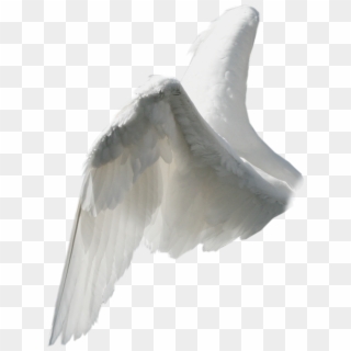 #wings #angel #angelwings #white #fantasy #beautiful - Angel Wings From Side, HD Png Download