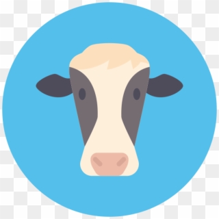 Breed Of Cows - Dairy Cow, HD Png Download