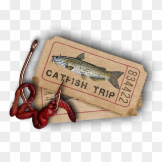 Catfish - Trout, HD Png Download