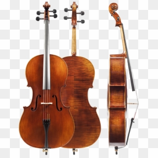 Model Sacconi Aaa Cello - Cello 4 4, HD Png Download