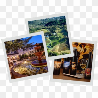 Raffle-collage - Benziger Family Winery, HD Png Download