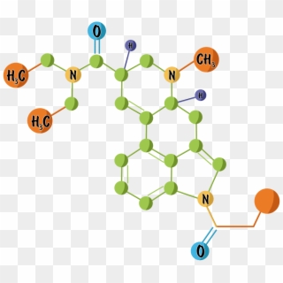A Graphic Of The Chemical 1p Lsd 01 In Green Orange - Circle, HD Png Download