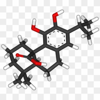 Carnosic Acid 3d Sticks - Cocaine Chemical Structure 3d, HD Png Download