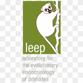 Leep Logo Web Transparent - Ifpma, HD Png Download