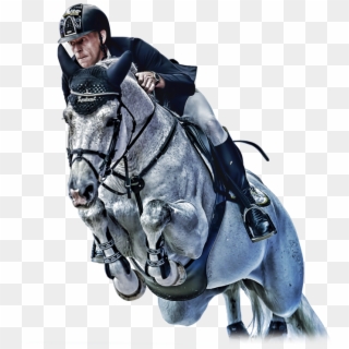 Activities And Shows For Everyone - Equitation, HD Png Download