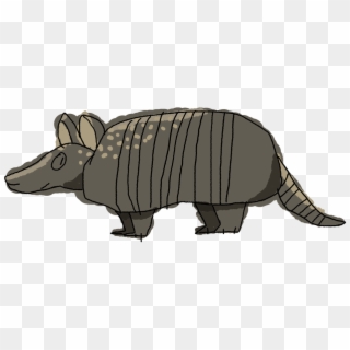 Armadillo Transparent - Indian Rhinoceros, HD Png Download