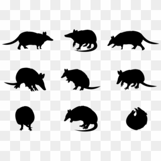 Armadillo Sillhaouttes Vector - Silhouette, HD Png Download