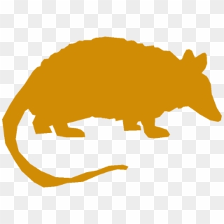 Medium Image - Armadillo Silhouette Png, Transparent Png