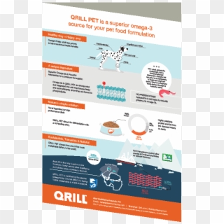Infographic Qrill Pet - Flyer, HD Png Download