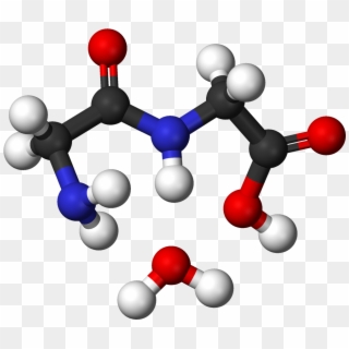 Glycine Condensation 2 3d Balls - Glycolic Acid Molecular Structure, HD Png Download
