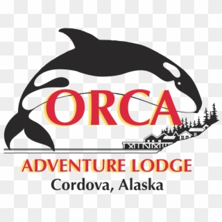 Orca Adventure Lodge - Killer Whale, HD Png Download