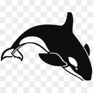 Orca Clipart Outline - Killer Whale Clipart, HD Png Download