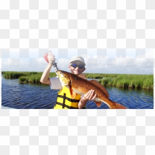 Printable Version - Louisiana Fishing, HD Png Download