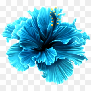 Фото, Автор Svetlera На Яндекс - Blue Tropical Flowers Png, Transparent Png