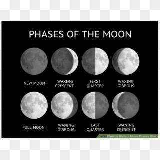 Phases 2048 2048 - Many Phases Of The Moon Are There, HD Png Download
