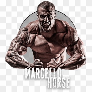 Ver Perfil - Marcello Horse Darkness, HD Png Download