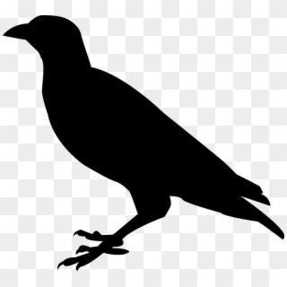 Raven, Crow, Raven Bird, Bird, Black, Sitting, Bill - Raven Silhouette Png, Transparent Png