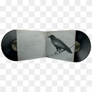 Old Crows / Young Cardinals - Alexisonfire Old Crows Young Cardinals Vinyl, HD Png Download