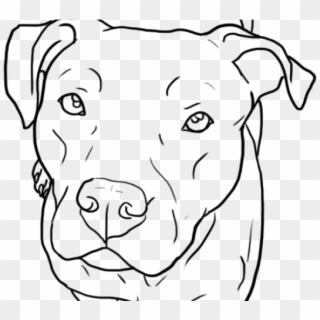 Drawn Bull Pit Bulls Head - Perros Pitbull Para Dibujar, HD Png Download
