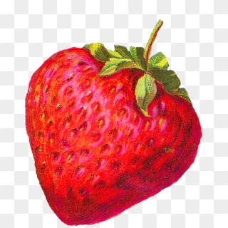 Digital Strawberry Downloads - Vintage Strawberry Clip Art, HD Png Download