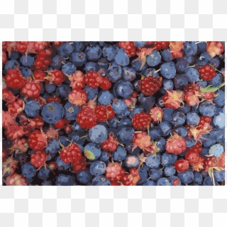 This Free Icons Png Design Of Alaska Wild Berries - Blue Berry In Alaska, Transparent Png