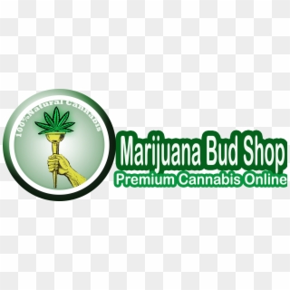 Marijuana Bud Shop - Graphic Design, HD Png Download