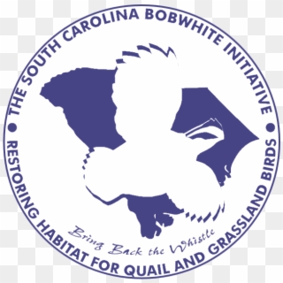 South Carolina Bobwhite Initiative Home Page - Bellwood School District 88, HD Png Download