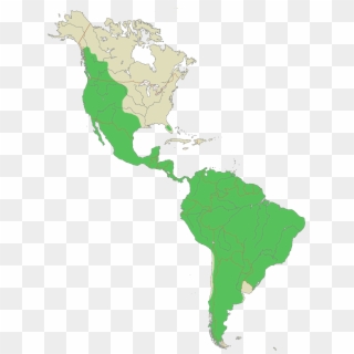 Puma Range - Latin America Map Silhouette, HD Png Download
