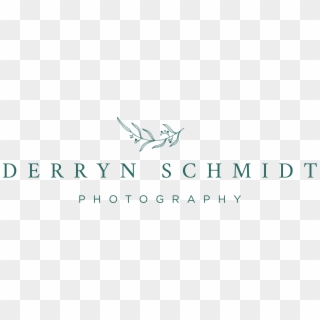 Derryn Schmidt Photography Logo, HD Png Download
