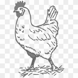 Hen Png - Clip Art Black And White Hen, Transparent Png