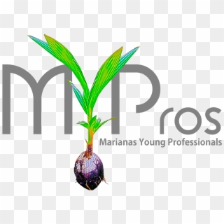 Mypros 3 Year Anniversary Havana Nights October 20, - Marianas Young Professionals, HD Png Download