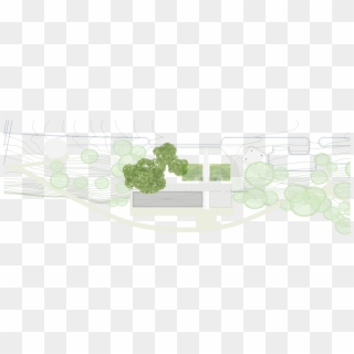 Transparent Png
