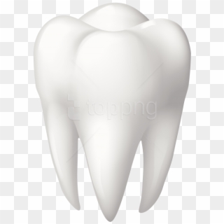 Free Png Download Tooth Molar Clipart Png Photo Png - Transparent Tooth Png, Png Download