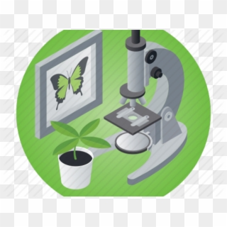 Microscope Clipart Plant Science - Microscope Plant Icon, HD Png Download