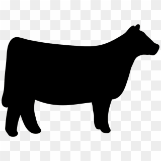 Cow Clipart Heifer - Show Heifer Silhouette, HD Png Download