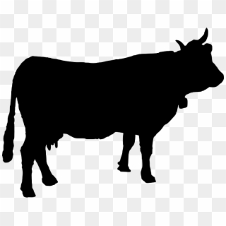 Cow Silhouette Free Vector - Cow Vectors, HD Png Download