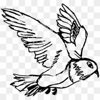 Png File Size - Pigeon Drawing, Transparent Png