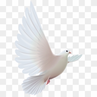 Doves Png Pinterest Bird Clip Art And Ⓒ - Espiritu Santo Paloma Png, Transparent Png