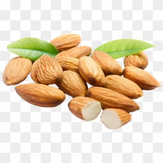 Almonds Png, Transparent Png