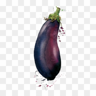 Graphic Transparent Library Eggplant Drawing - Watercolour Eggplant, HD Png Download