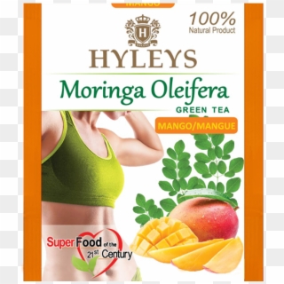 Hyleys Moringa Oleifera Tea - Flyer, HD Png Download