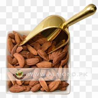 Organic Almonds Kabul - Almond, HD Png Download
